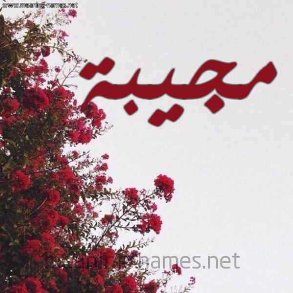 شكل 18 صوره الورد الأحمر للإسم بخط رقعة صورة اسم مجيبة Mjybh