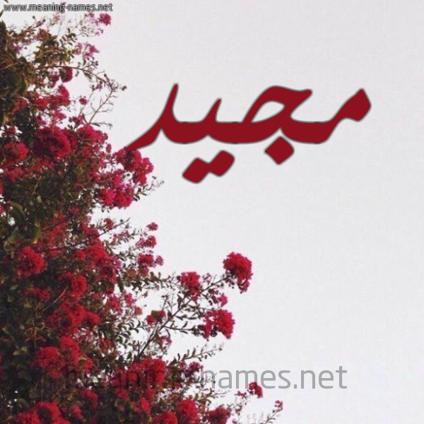 شكل 18 صوره الورد الأحمر للإسم بخط رقعة صورة اسم مجيد Mjyd