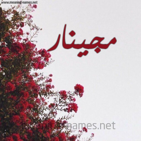 شكل 18 صوره الورد الأحمر للإسم بخط رقعة صورة اسم مجينار mginar