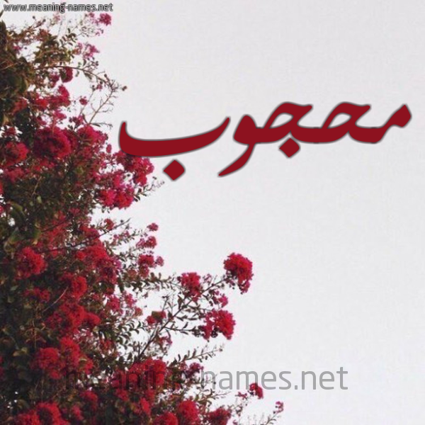 شكل 18 صوره الورد الأحمر للإسم بخط رقعة صورة اسم محجوب Mhgob