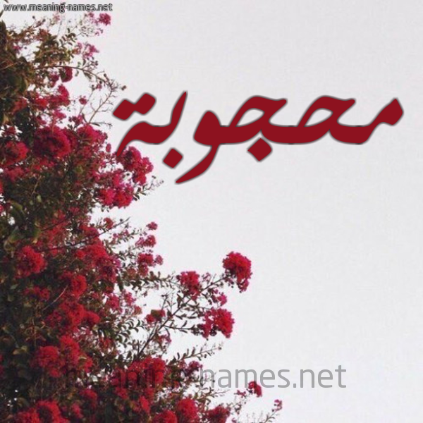 شكل 18 صوره الورد الأحمر للإسم بخط رقعة صورة اسم محجوبة Mahjouba