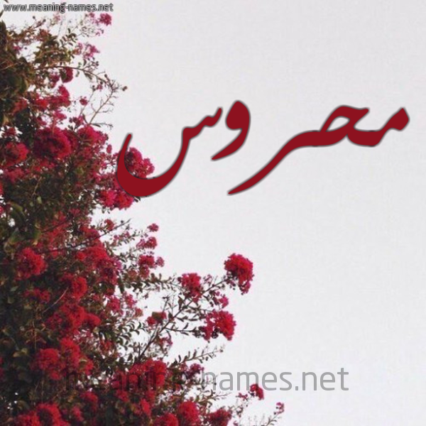 شكل 18 صوره الورد الأحمر للإسم بخط رقعة صورة اسم محروس MHROS