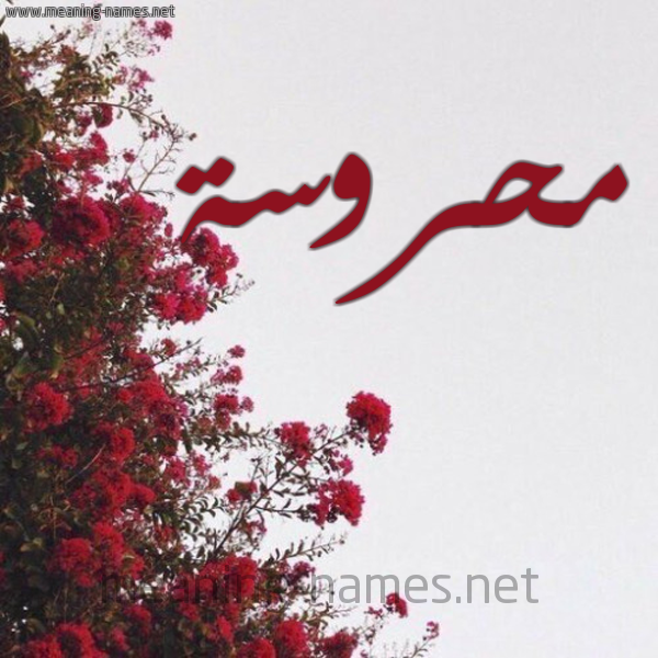 شكل 18 صوره الورد الأحمر للإسم بخط رقعة صورة اسم محروسة Mhrosa