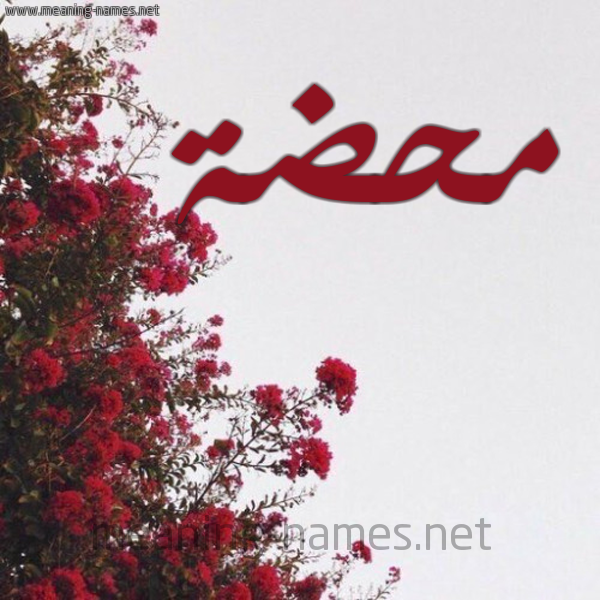 شكل 18 صوره الورد الأحمر للإسم بخط رقعة صورة اسم محضة Mhd'h