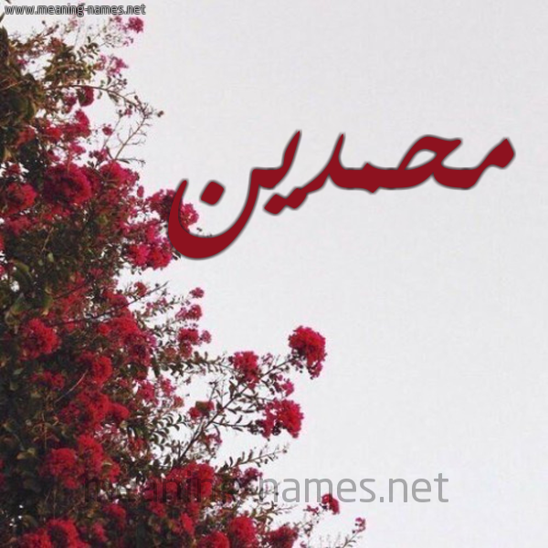 شكل 18 صوره الورد الأحمر للإسم بخط رقعة صورة اسم محمدين MHMDIN