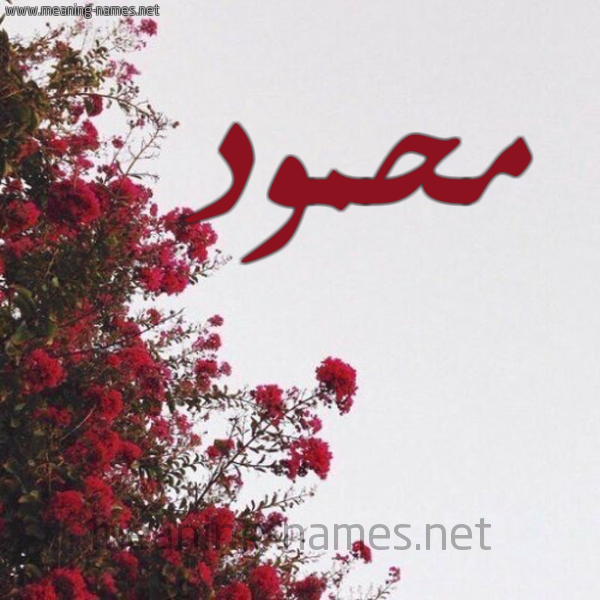 شكل 18 صوره الورد الأحمر للإسم بخط رقعة صورة اسم محمود Mahmoud