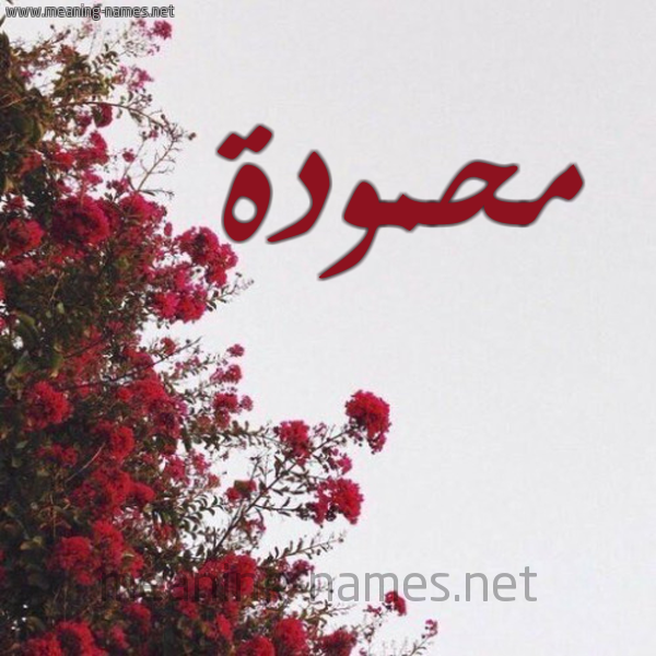 شكل 18 صوره الورد الأحمر للإسم بخط رقعة صورة اسم محمودة Mhmwda.