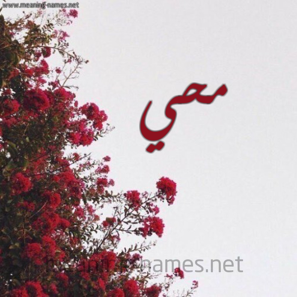شكل 18 صوره الورد الأحمر للإسم بخط رقعة صورة اسم محي Mohi