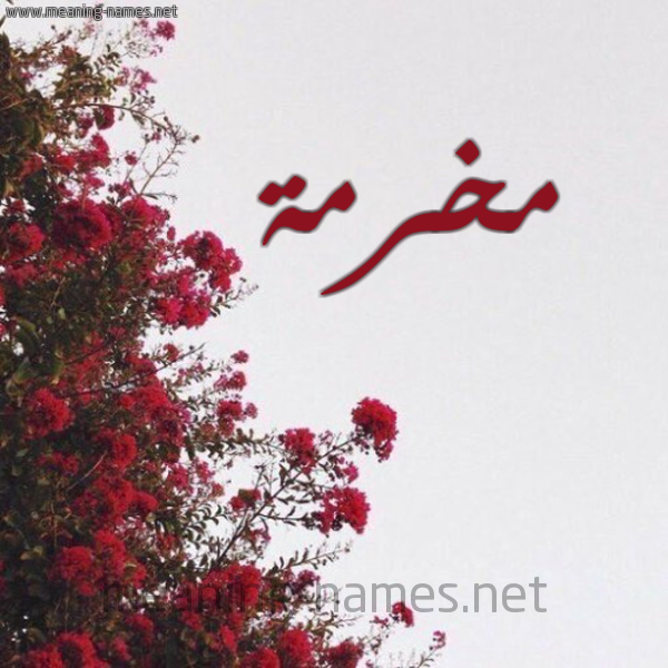 شكل 18 صوره الورد الأحمر للإسم بخط رقعة صورة اسم مخرمة MKHRMH
