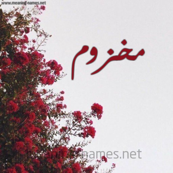 شكل 18 صوره الورد الأحمر للإسم بخط رقعة صورة اسم مخزوم MKHZOM
