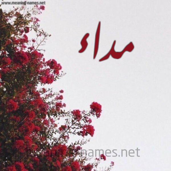 شكل 18 صوره الورد الأحمر للإسم بخط رقعة صورة اسم مداء Mda'a