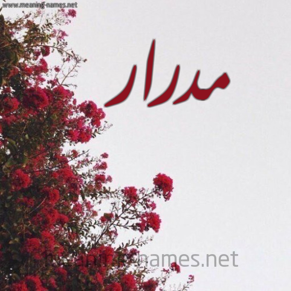 شكل 18 صوره الورد الأحمر للإسم بخط رقعة صورة اسم مدرار Mdrar