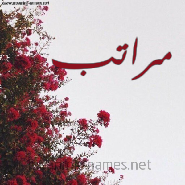 شكل 18 صوره الورد الأحمر للإسم بخط رقعة صورة اسم مراتب Mratb