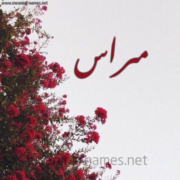 شكل 18 صوره الورد الأحمر للإسم بخط رقعة صورة اسم مراس Miras