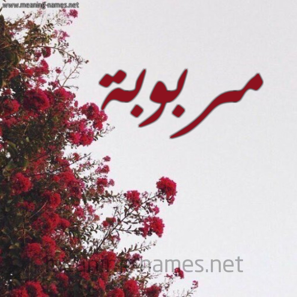 شكل 18 صوره الورد الأحمر للإسم بخط رقعة صورة اسم مربوبة Mrbwbh
