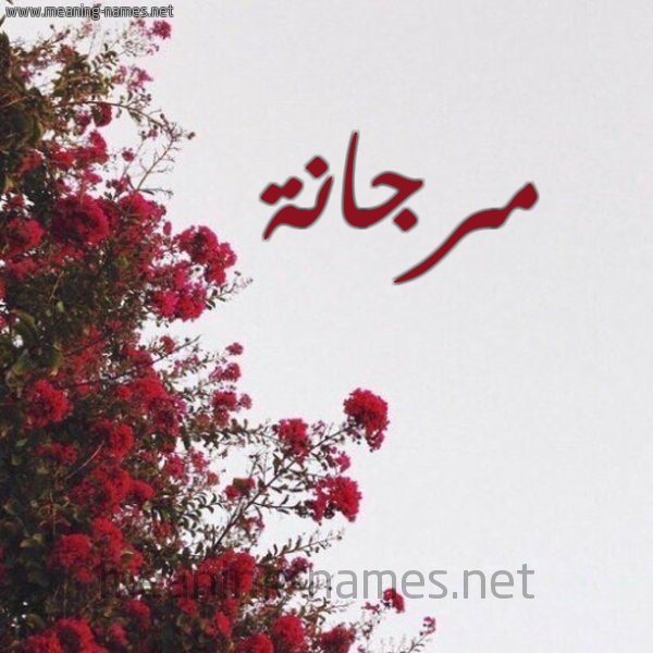 شكل 18 صوره الورد الأحمر للإسم بخط رقعة صورة اسم مرجانة Mrgana