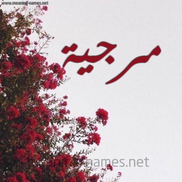 شكل 18 صوره الورد الأحمر للإسم بخط رقعة صورة اسم مرجية Mrjyh
