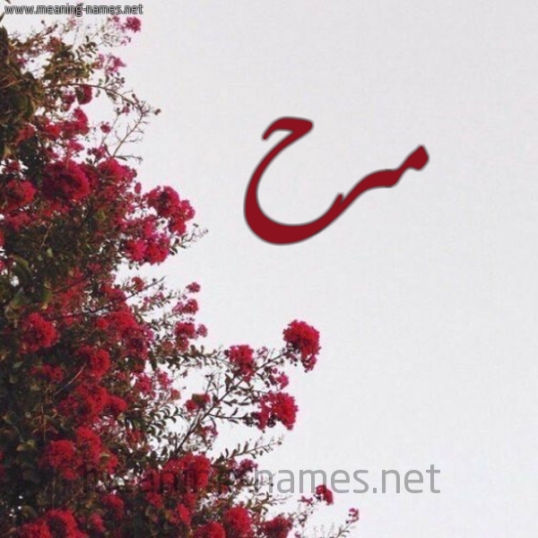 شكل 18 صوره الورد الأحمر للإسم بخط رقعة صورة اسم مرح Mrh