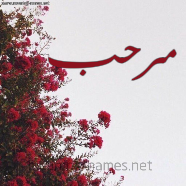شكل 18 صوره الورد الأحمر للإسم بخط رقعة صورة اسم مرحب Mrhb