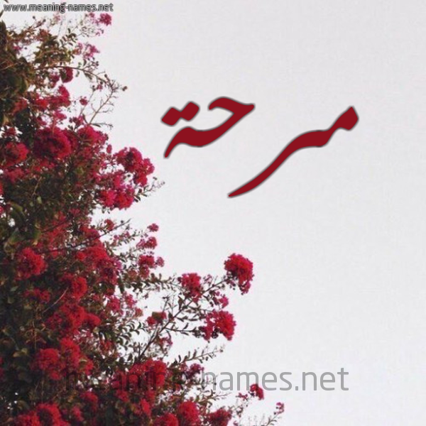 شكل 18 صوره الورد الأحمر للإسم بخط رقعة صورة اسم مرحة MRHH
