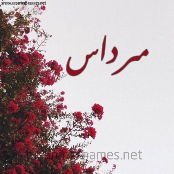 شكل 18 صوره الورد الأحمر للإسم بخط رقعة صورة اسم مرداس Mrdas