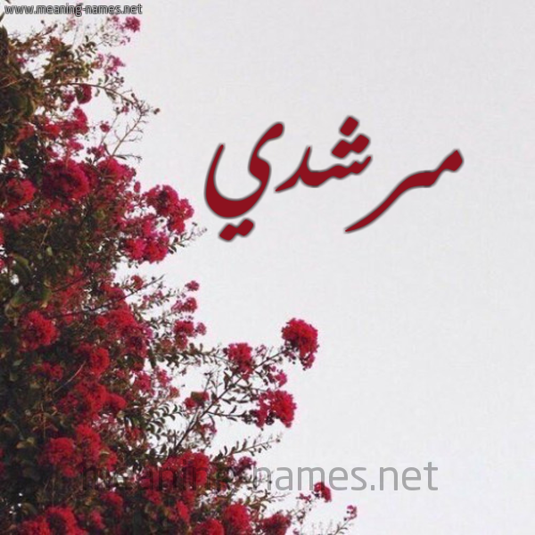 شكل 18 صوره الورد الأحمر للإسم بخط رقعة صورة اسم مرشدي Morshedi