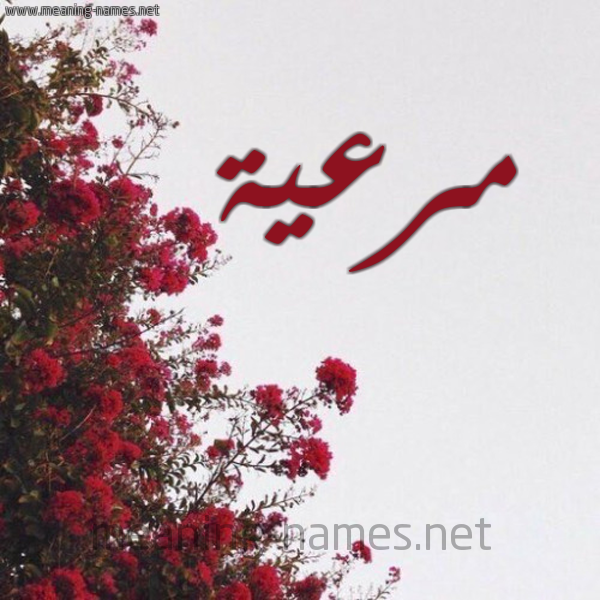شكل 18 صوره الورد الأحمر للإسم بخط رقعة صورة اسم مرعية Mr'yh