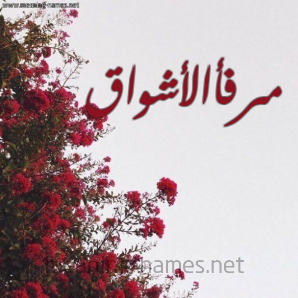 شكل 18 صوره الورد الأحمر للإسم بخط رقعة صورة اسم مرفأالأشواق Mrf'aal'ashwaq