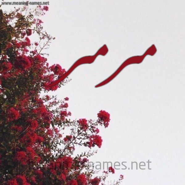 شكل 18 صوره الورد الأحمر للإسم بخط رقعة صورة اسم مرمر Mrmr