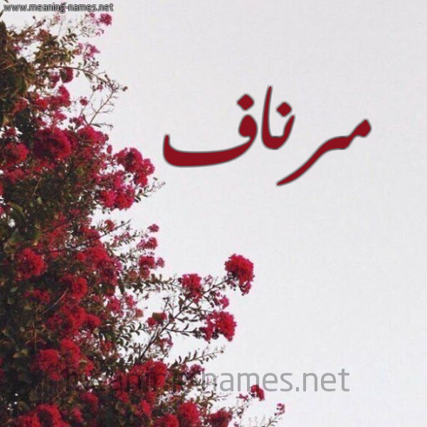 شكل 18 صوره الورد الأحمر للإسم بخط رقعة صورة اسم مرناف Mrnaf