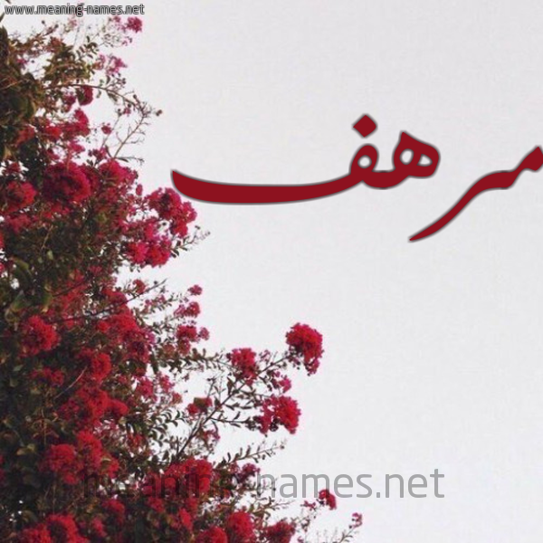 شكل 18 صوره الورد الأحمر للإسم بخط رقعة صورة اسم مرهف Mrhf