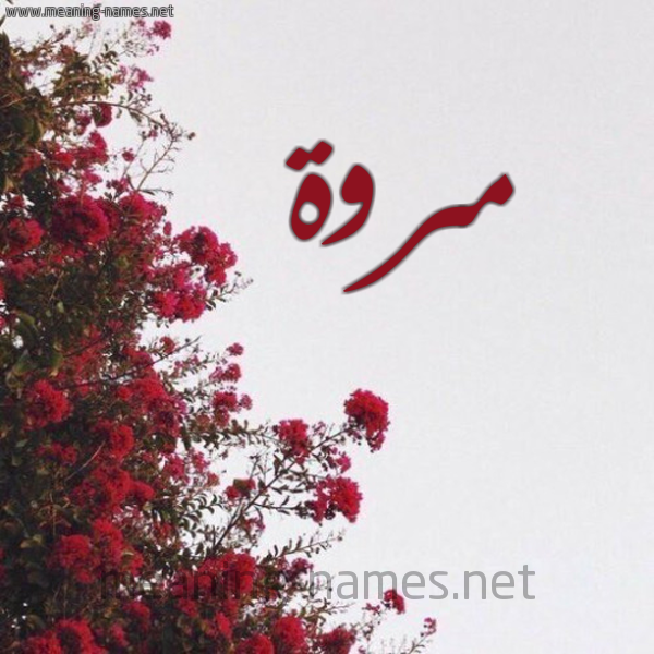 شكل 18 صوره الورد الأحمر للإسم بخط رقعة صورة اسم مروة Marwa