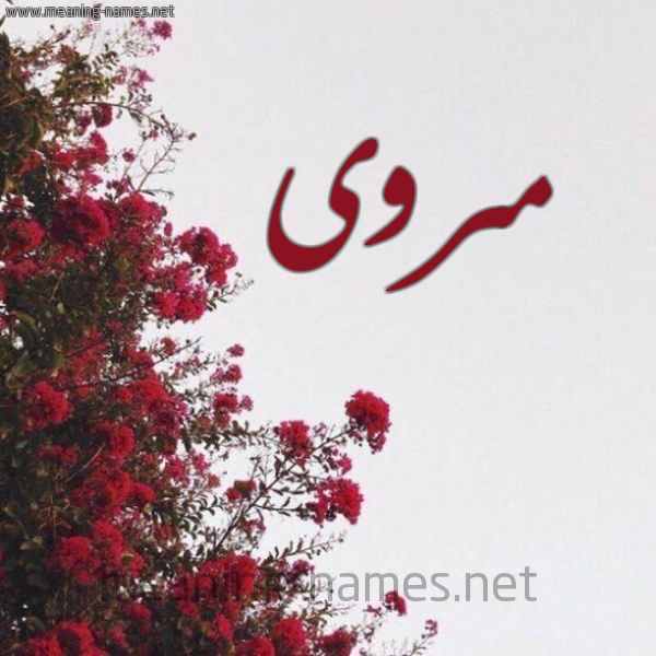 شكل 18 صوره الورد الأحمر للإسم بخط رقعة صورة اسم مروى Mrwa
