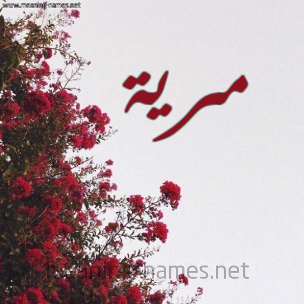 شكل 18 صوره الورد الأحمر للإسم بخط رقعة صورة اسم مرية MARIA