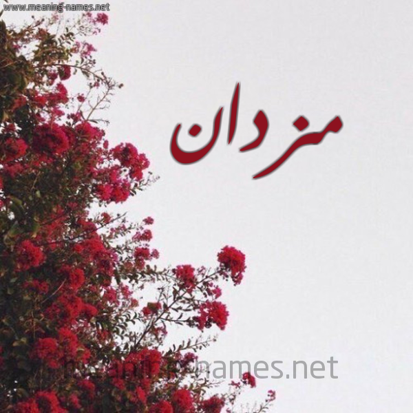 شكل 18 صوره الورد الأحمر للإسم بخط رقعة صورة اسم مزدان Mozdan