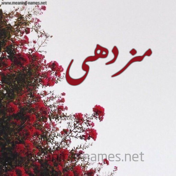 شكل 18 صوره الورد الأحمر للإسم بخط رقعة صورة اسم مزدهى MZDHA