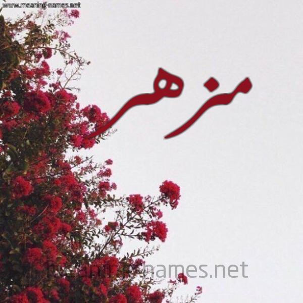 شكل 18 صوره الورد الأحمر للإسم بخط رقعة صورة اسم مزهر MZHR