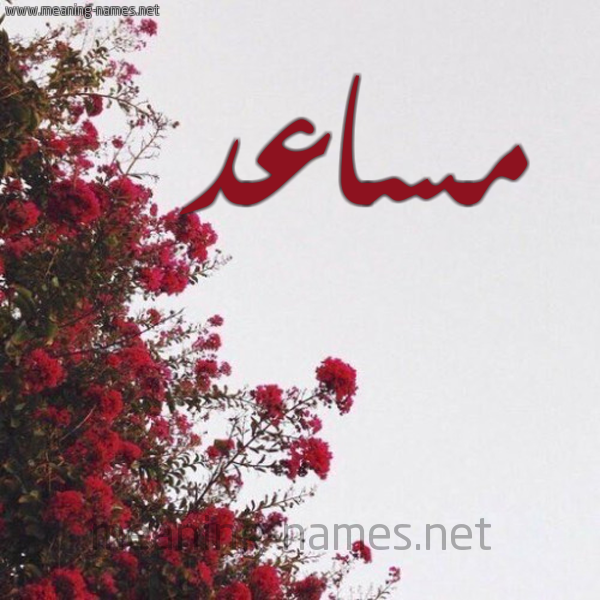 شكل 18 صوره الورد الأحمر للإسم بخط رقعة صورة اسم مساعد Mosad