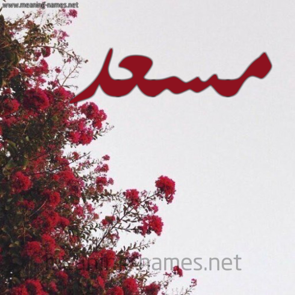 شكل 18 صوره الورد الأحمر للإسم بخط رقعة صورة اسم مسعد Mosad