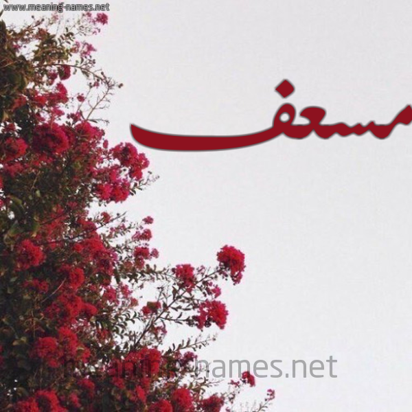 شكل 18 صوره الورد الأحمر للإسم بخط رقعة صورة اسم مسعف MSAF