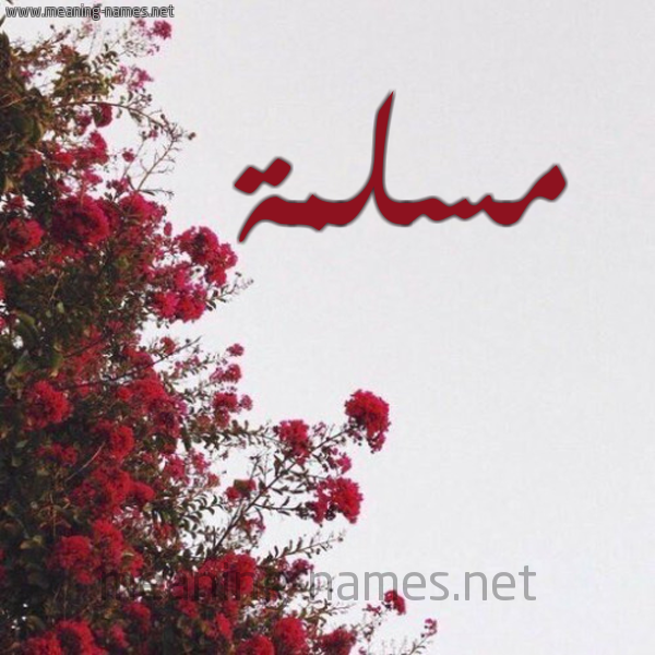 شكل 18 صوره الورد الأحمر للإسم بخط رقعة صورة اسم مسلمة Mslmh