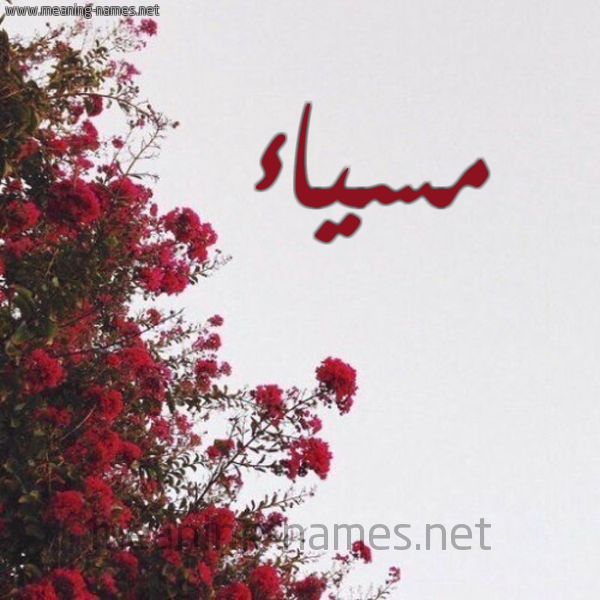 شكل 18 صوره الورد الأحمر للإسم بخط رقعة صورة اسم مسياء Masaa