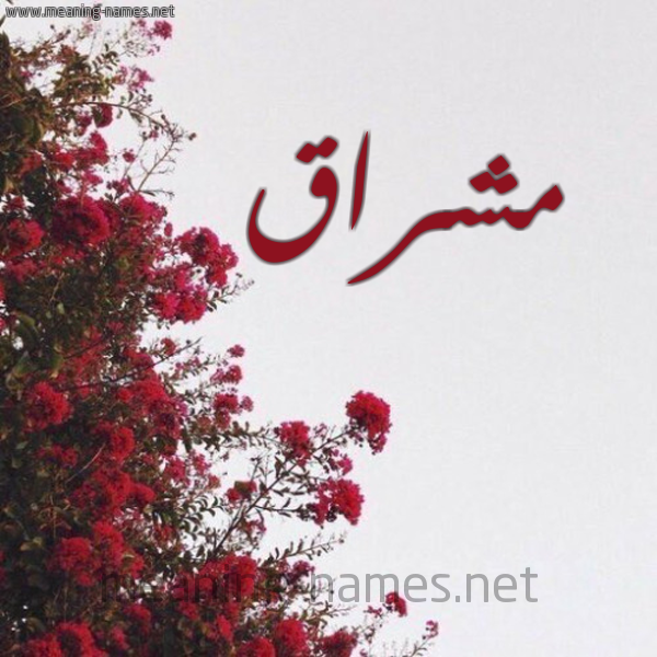 شكل 18 صوره الورد الأحمر للإسم بخط رقعة صورة اسم مشراق Mshraq