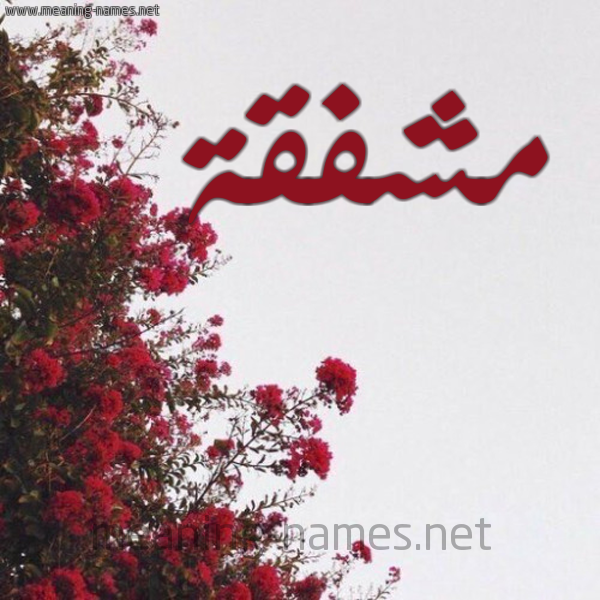 شكل 18 صوره الورد الأحمر للإسم بخط رقعة صورة اسم مشفقة Mshfqh