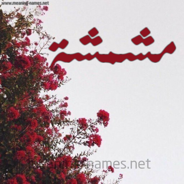شكل 18 صوره الورد الأحمر للإسم بخط رقعة صورة اسم مشمشة Mshmshh