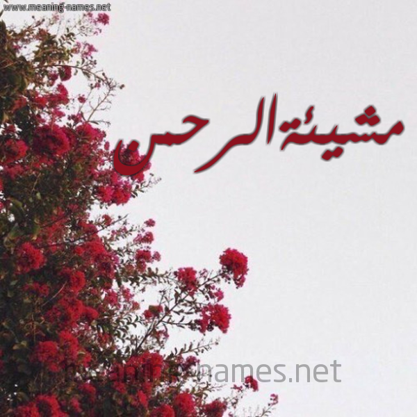 شكل 18 صوره الورد الأحمر للإسم بخط رقعة صورة اسم مشيئةالرحمن Mshy'ihalrhmn
