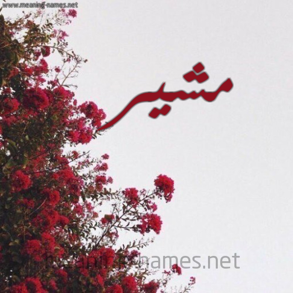 شكل 18 صوره الورد الأحمر للإسم بخط رقعة صورة اسم مشير MosHIR