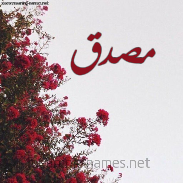 شكل 18 صوره الورد الأحمر للإسم بخط رقعة صورة اسم مصدق مُصَدِّق-Msdq