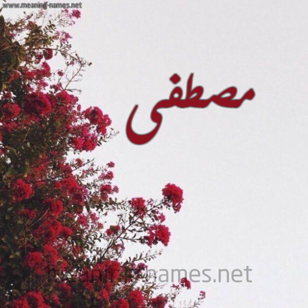 شكل 18 صوره الورد الأحمر للإسم بخط رقعة صورة اسم مصطفى Mostafa