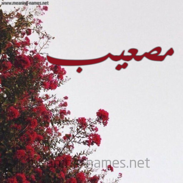 شكل 18 صوره الورد الأحمر للإسم بخط رقعة صورة اسم مصعيب Musabah